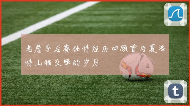 老詹季后赛独特经历回顾曾与夏洛特山猫交锋的岁月