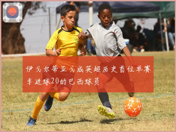 伊戈尔蒂亚戈成英超历史首位单赛季进球20的巴西球员