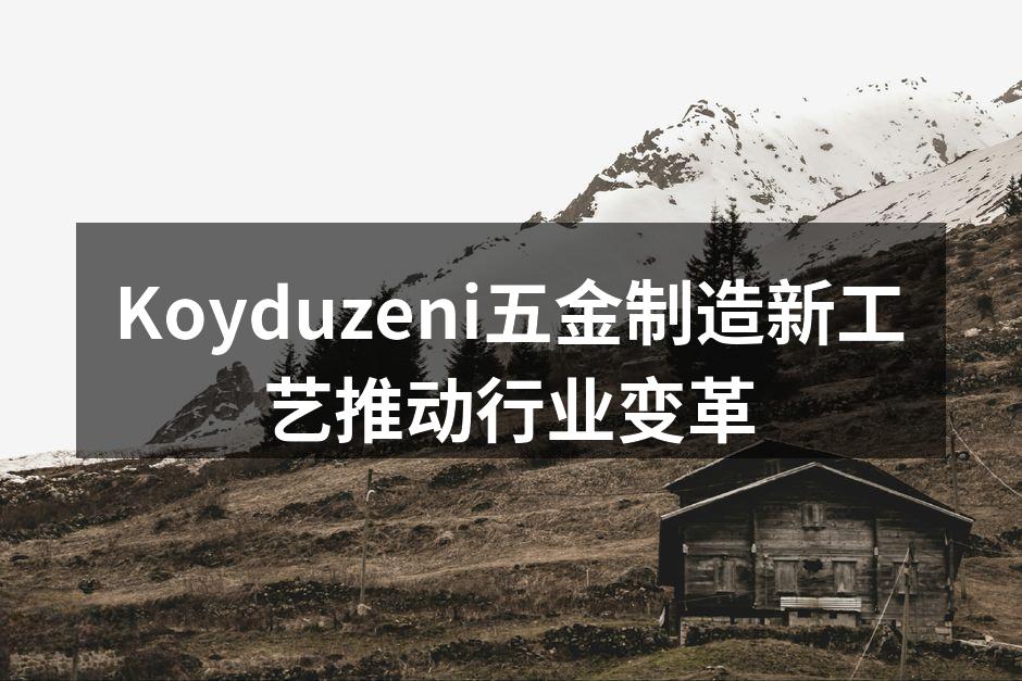 Koyduzeni新工艺设备图