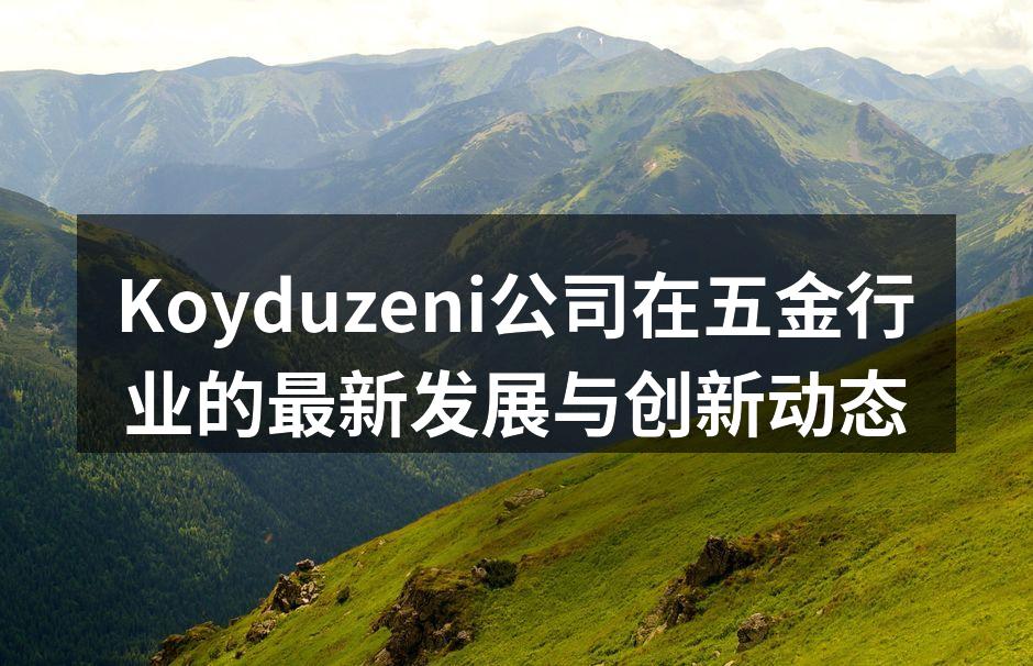 Koyduzeni公司展位吸引众多参观者