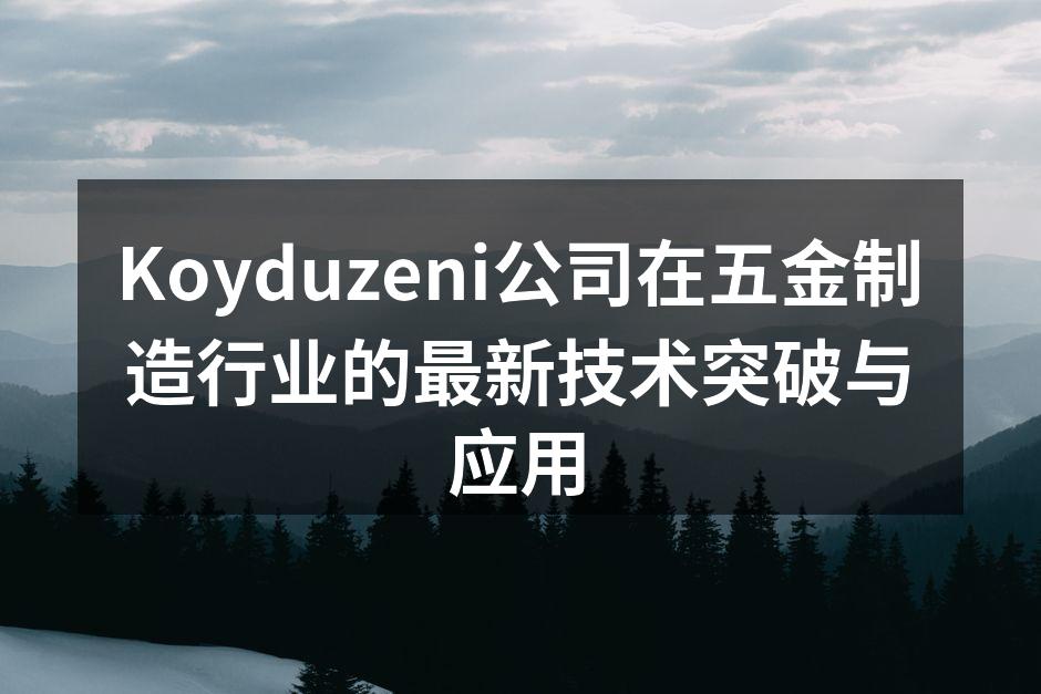 Koyduzeni公司智能化生产线